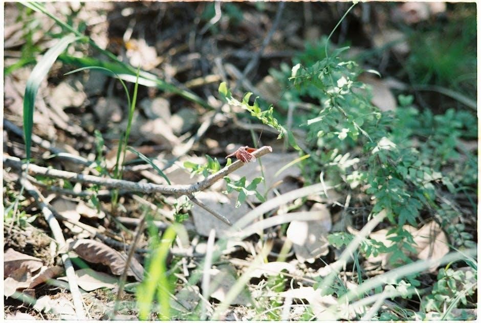 wildlife biology core curriculum online free pdf wildlife biology core curriculum online free pdf