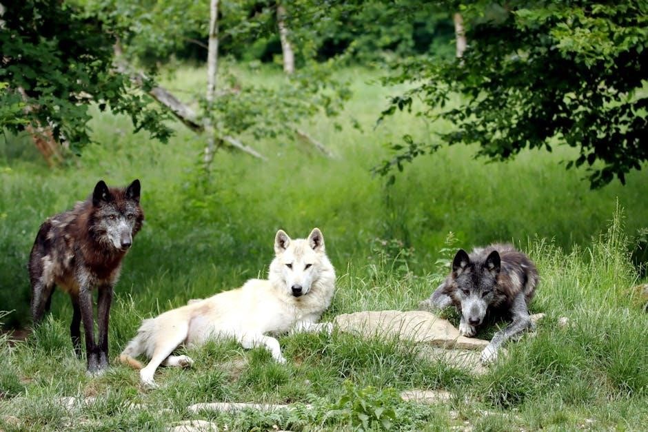julie of the wolves pdf julie of the wolves pdf