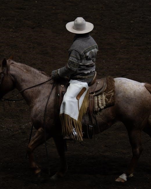 horse blanket guide horse blanket guide