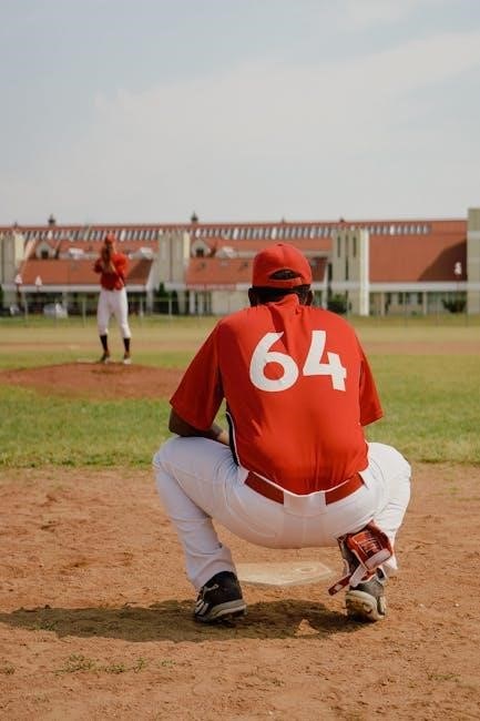 baseball stretches pdf baseball stretches pdf