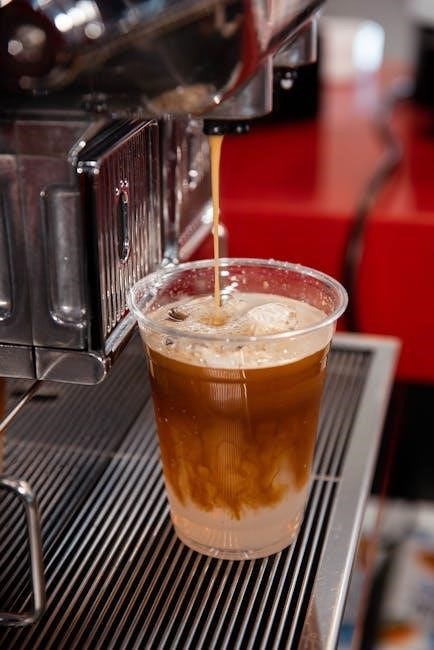 cold brew coffee maker instructions cold brew coffee maker instructions