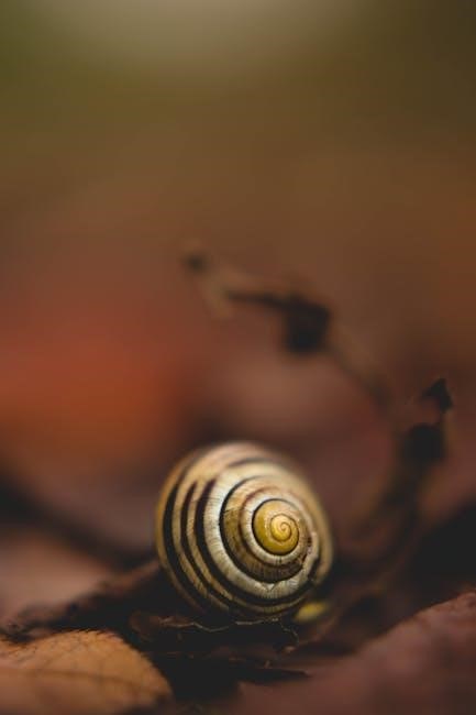 the snail and the whale pdf the snail and the whale pdf