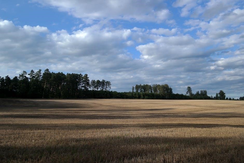 bleaching shade guide bleaching shade guide